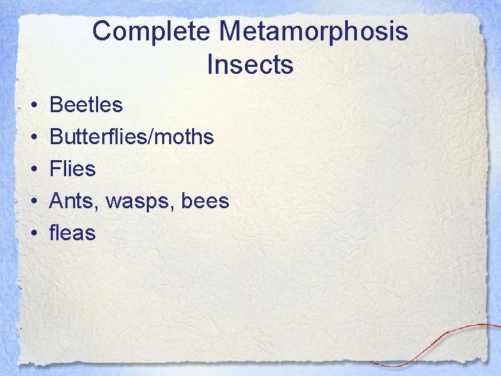 Complete Metamorphosis Insects • • • Beetles Butterflies/moths Flies Ants, wasps, bees fleas 