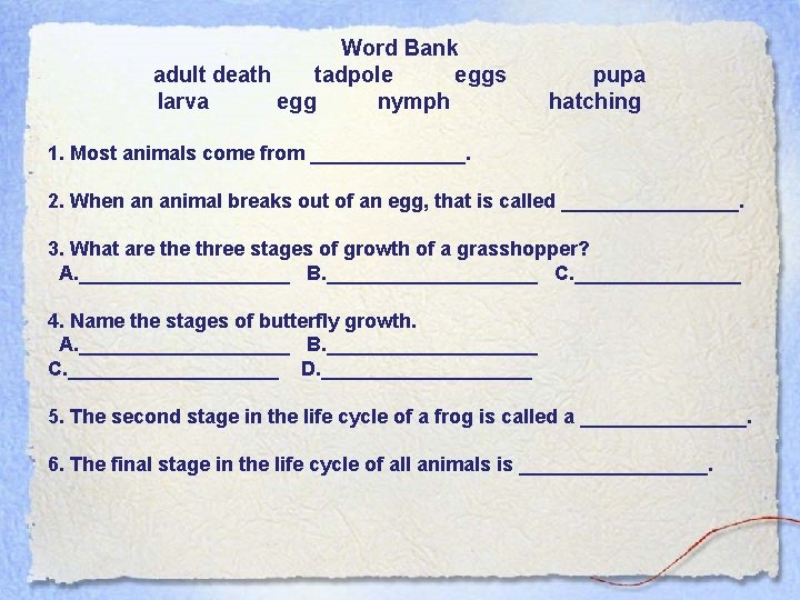 Word Bank adult death tadpole eggs pupa larva egg nymph hatching 1. Most animals