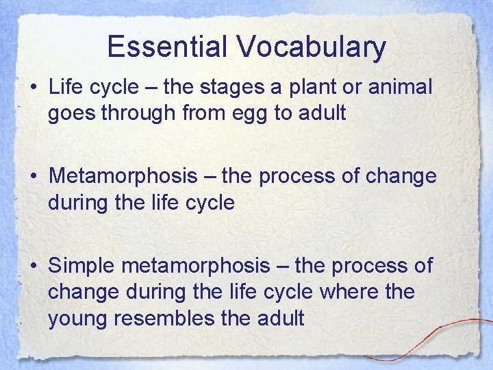 Essential Vocabulary • Life cycle – the stages a plant or animal goes through