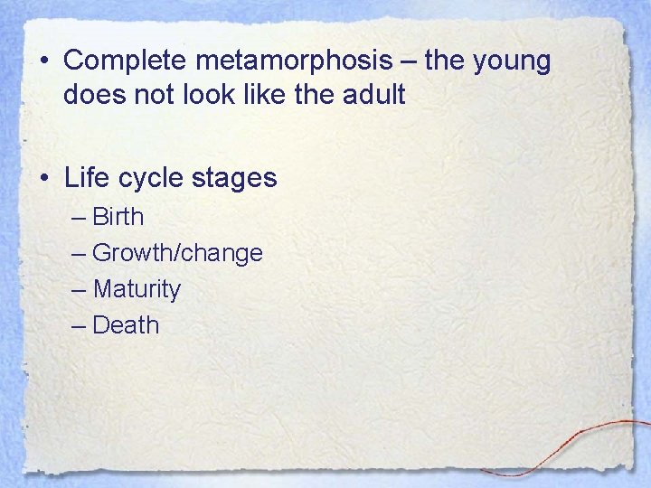  • Complete metamorphosis – the young does not look like the adult •