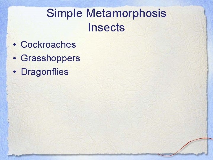 Simple Metamorphosis Insects • Cockroaches • Grasshoppers • Dragonflies 
