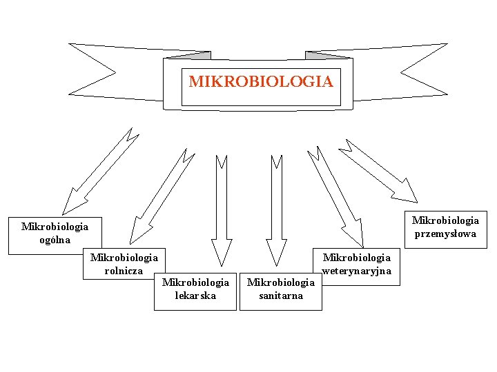 MIKROBIOLOGIA Mikrobiologia przemysłowa Mikrobiologia ogólna Mikrobiologia rolnicza Mikrobiologia lekarska Mikrobiologia sanitarna Mikrobiologia weterynaryjna 