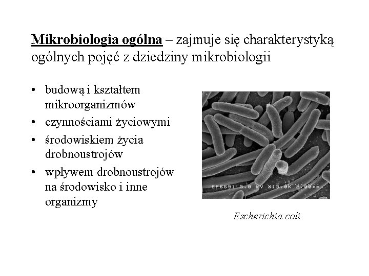 Mikrobiologia ogólna – zajmuje się charakterystyką ogólnych pojęć z dziedziny mikrobiologii • budową i