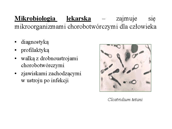 Mikrobiologia lekarska – zajmuje się mikroorganizmami chorobotwórczymi dla człowieka • diagnostyką • profilaktyką •