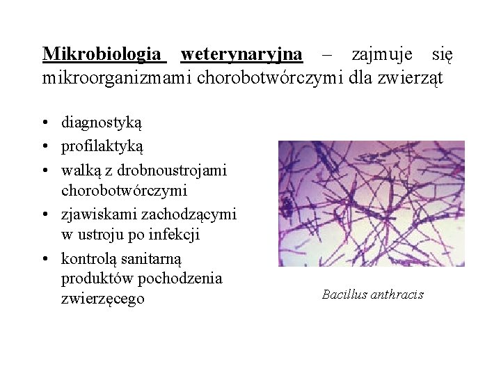 Mikrobiologia weterynaryjna – zajmuje się mikroorganizmami chorobotwórczymi dla zwierząt • diagnostyką • profilaktyką •