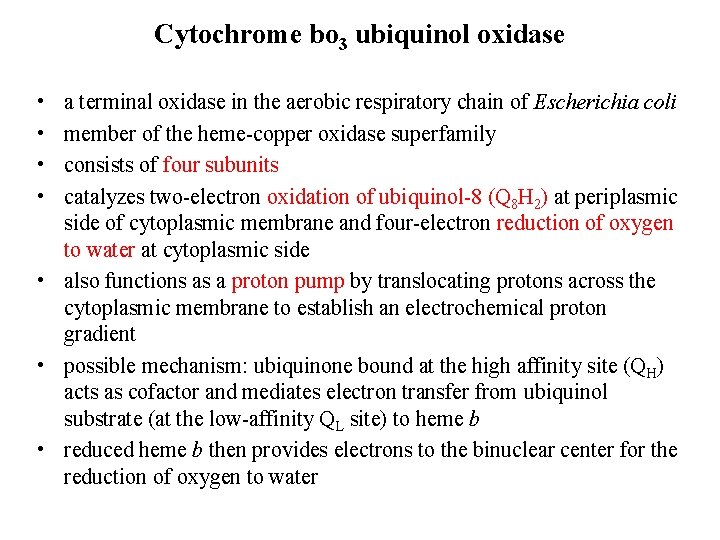 Cytochrome bo 3 ubiquinol oxidase • • a terminal oxidase in the aerobic respiratory
