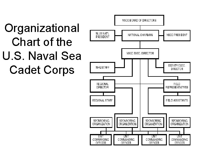 Organizational Chart of the U. S. Naval Sea Cadet Corps 