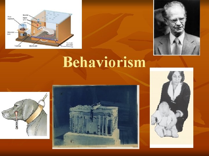 Behaviorism 