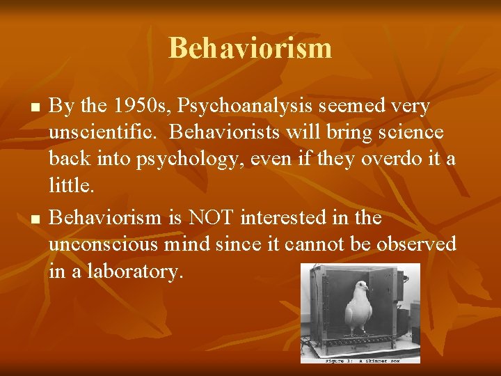 Behaviorism n n By the 1950 s, Psychoanalysis seemed very unscientific. Behaviorists will bring