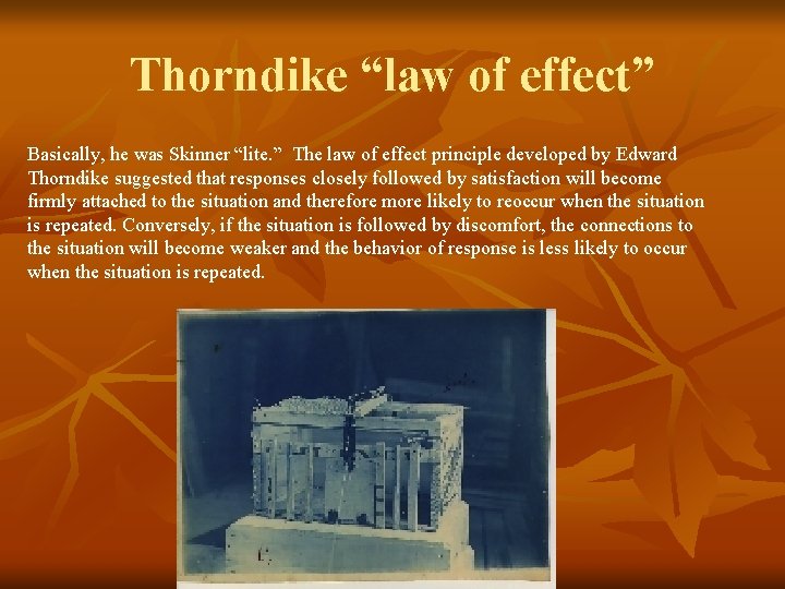 Thorndike “law of effect” Basically, he was Skinner “lite. ” The law of effect