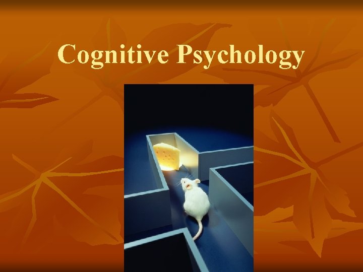 Cognitive Psychology 