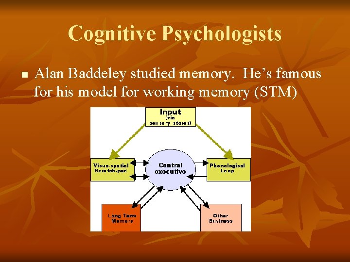 Cognitive Psychologists n Alan Baddeley studied memory. He’s famous for his model for working