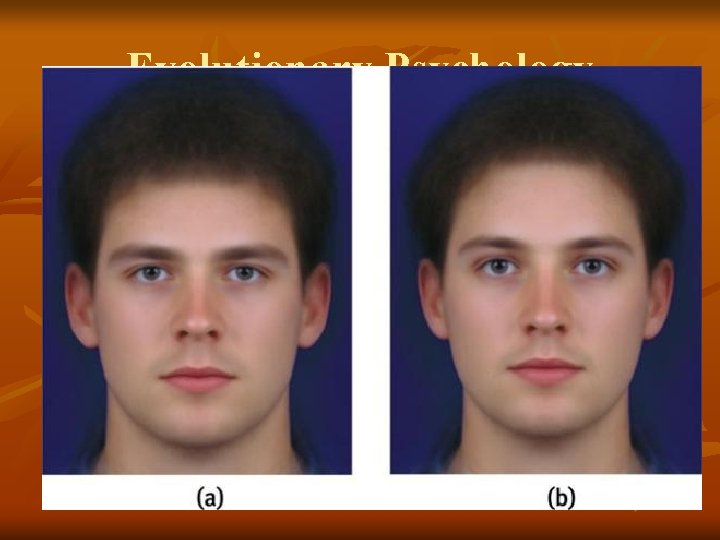 Evolutionary Psychology n This branch explains why humans do what they do in terms