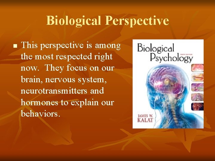 Biological Perspective n This perspective is among the most respected right now. They focus