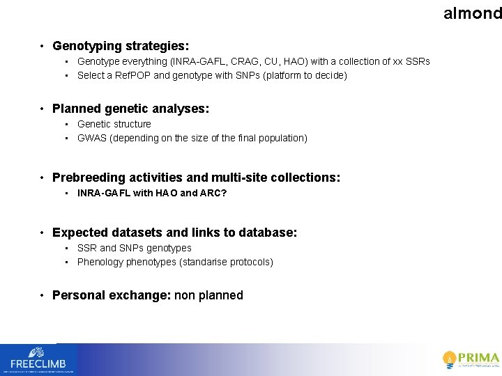 almond • Genotyping strategies: • Genotype everything (INRA-GAFL, CRAG, CU, HAO) with a collection