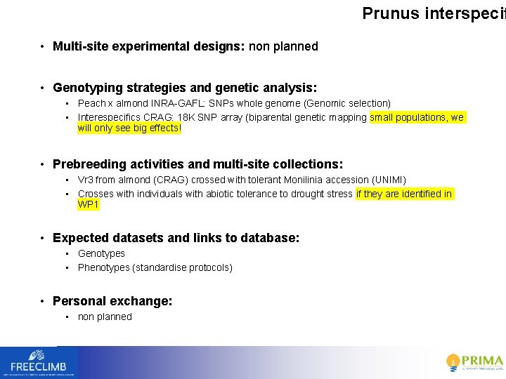Prunus interspecif • Multi-site experimental designs: non planned • Genotyping strategies and genetic analysis: