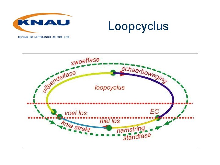 Loopcyclus 