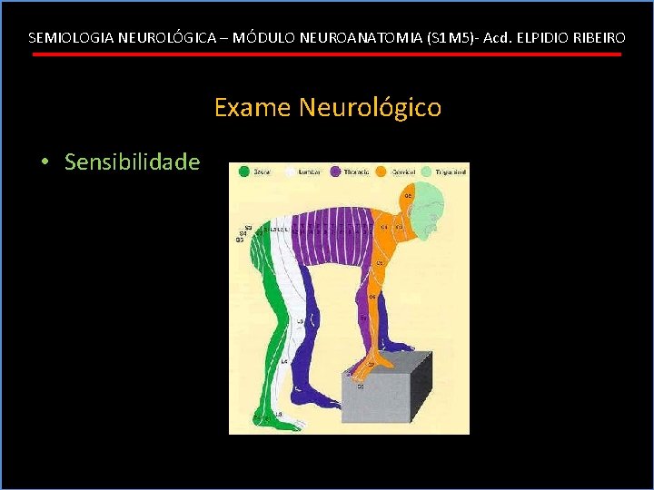 SEMIOLOGIA NEUROLÓGICA – MÓDULO NEUROANATOMIA (S 1 M 5)- Acd. ELPIDIO RIBEIRO Exame Neurológico