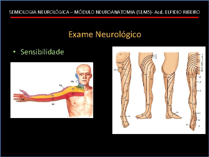 SEMIOLOGIA NEUROLÓGICA – MÓDULO NEUROANATOMIA (S 1 M 5)- Acd. ELPIDIO RIBEIRO Exame Neurológico