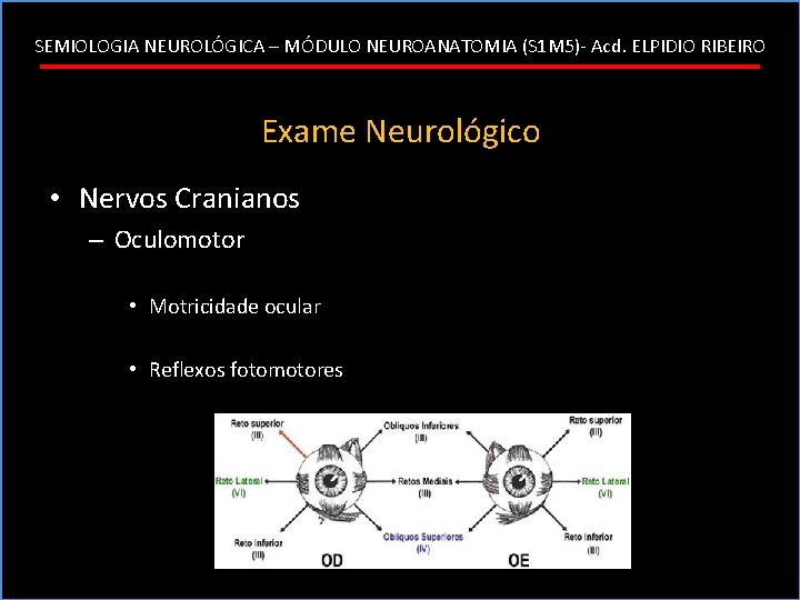 SEMIOLOGIA NEUROLÓGICA – MÓDULO NEUROANATOMIA (S 1 M 5)- Acd. ELPIDIO RIBEIRO Exame Neurológico