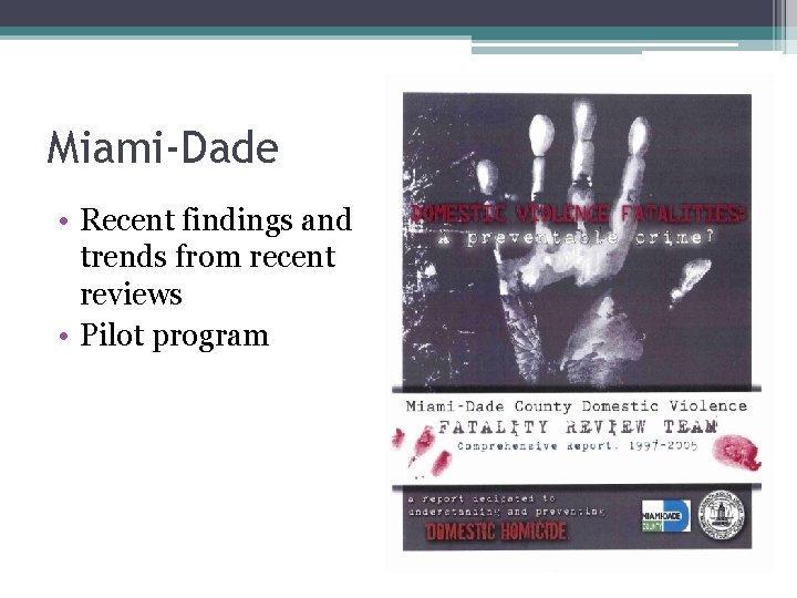 Miami-Dade • Recent findings and trends from recent reviews • Pilot program 