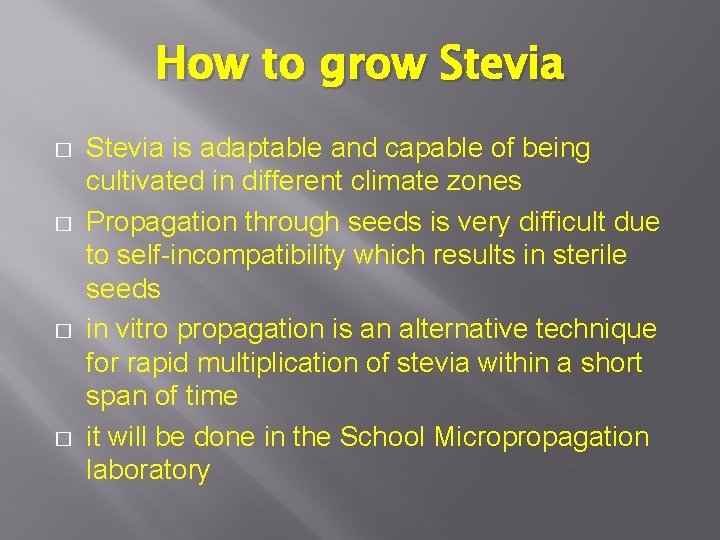 How to grow Stevia � � Stevia is adaptable and capable of being cultivated