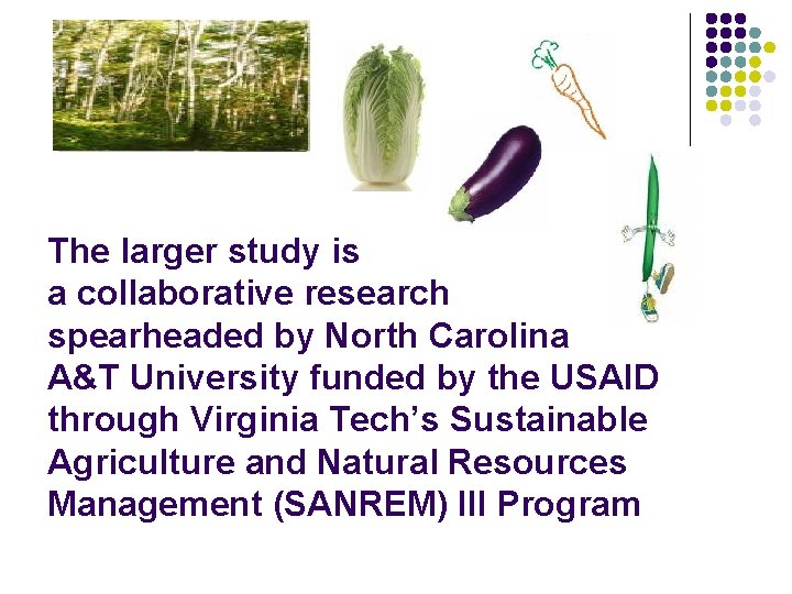 The larger study is a collaborative research spearheaded by North Carolina A&T University funded