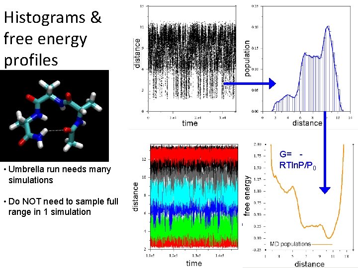 Histograms & free energy profiles • Umbrella run needs many simulations • Do NOT