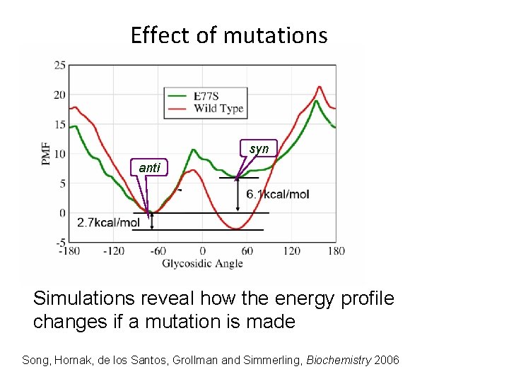 Effect of mutations syn anti Simulations reveal how the energy profile changes if a