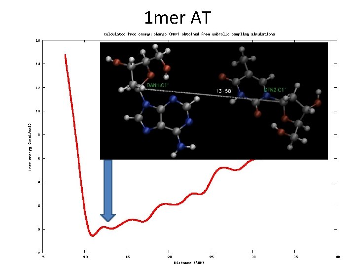 1 mer AT 