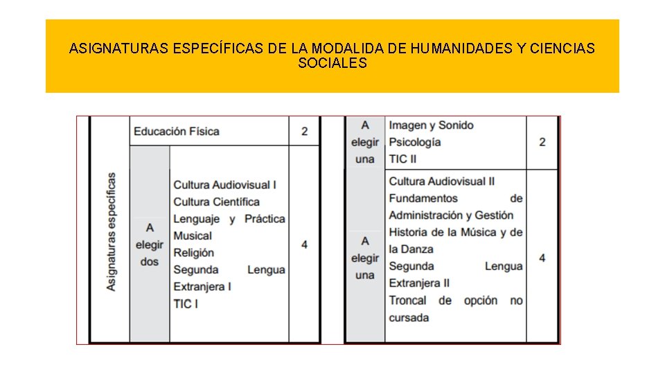 ASIGNATURAS ESPECÍFICAS DE LA MODALIDA DE HUMANIDADES Y CIENCIAS SOCIALES 