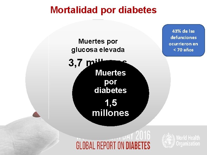 Mortalidad por diabetes Muertes por glucosa elevada 3, 7 millones Muertes por diabetes 1,