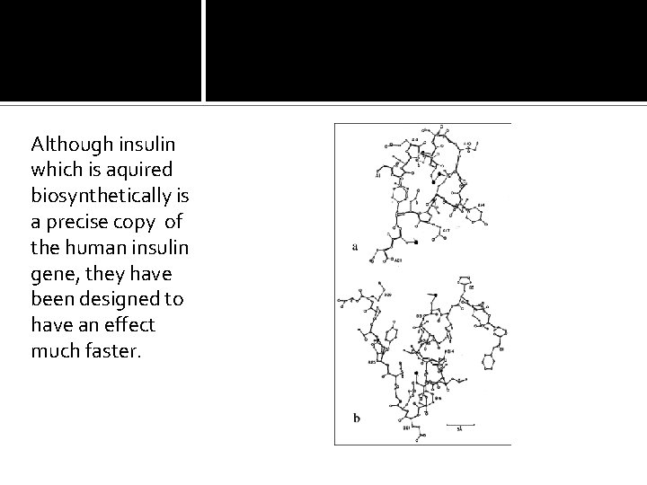 Although insulin which is aquired biosynthetically is a precise copy of the human insulin