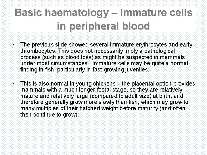 Basic haematology – immature cells in peripheral blood • The previous slide showed several