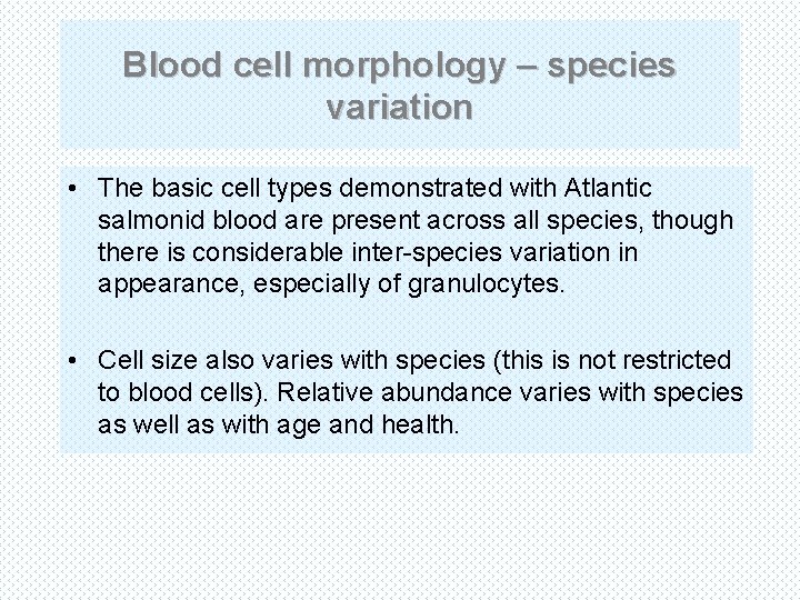 Blood cell morphology – species variation • The basic cell types demonstrated with Atlantic