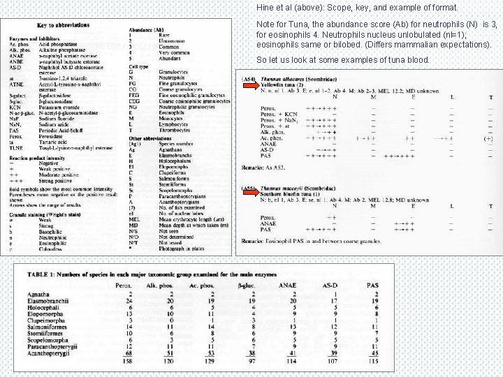 Hine et al (above): Scope, key, and example of format. Note for Tuna, the