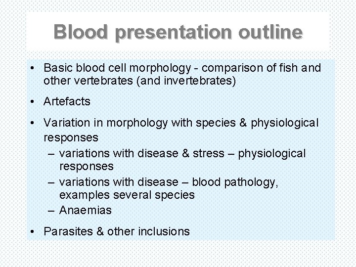 Blood presentation outline • Basic blood cell morphology - comparison of fish and other