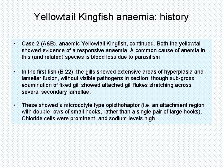Yellowtail Kingfish anaemia: history • Case 2 (A&B), anaemic Yellowtail Kingfish, continued. Both the