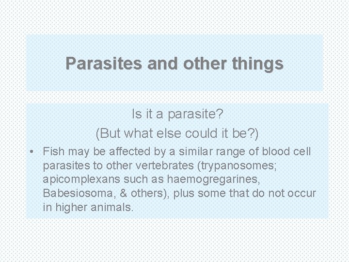 Parasites and other things Is it a parasite? (But what else could it be?
