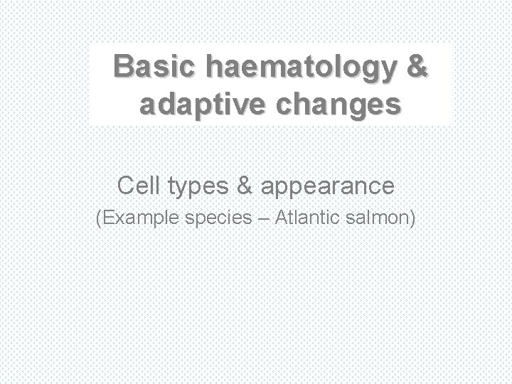 Basic haematology & adaptive changes Cell types & appearance (Example species – Atlantic salmon)