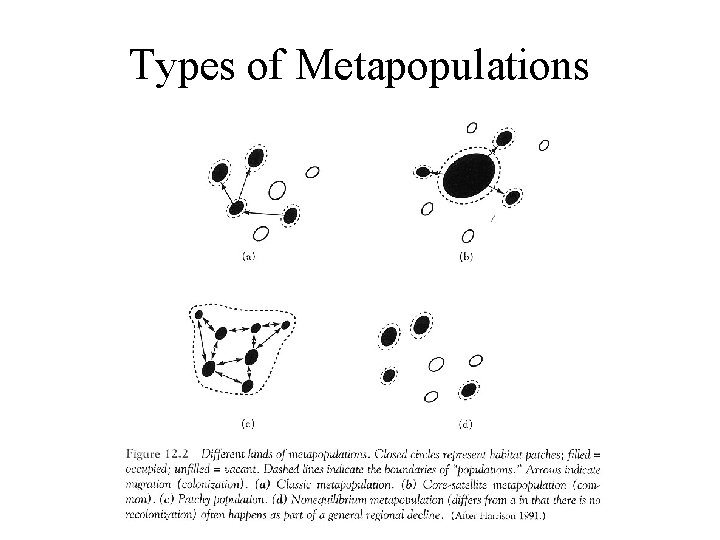 Types of Metapopulations 