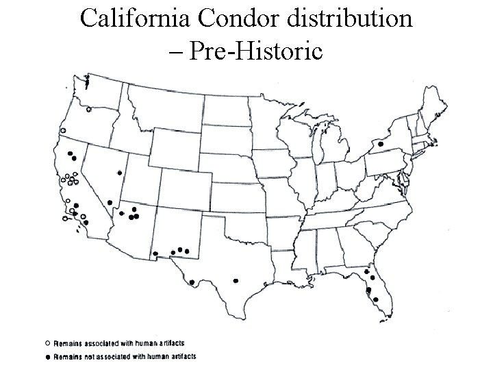 California Condor distribution – Pre-Historic 