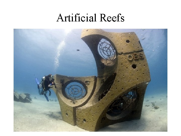 Artificial Reefs 