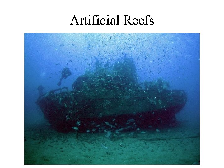 Artificial Reefs 