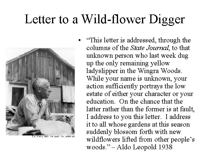 Letter to a Wild-flower Digger • “This letter is addressed, through the columns of