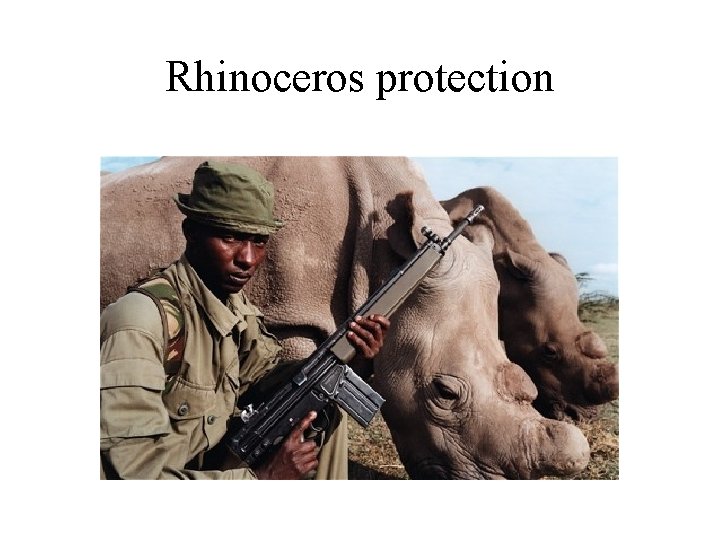 Rhinoceros protection 