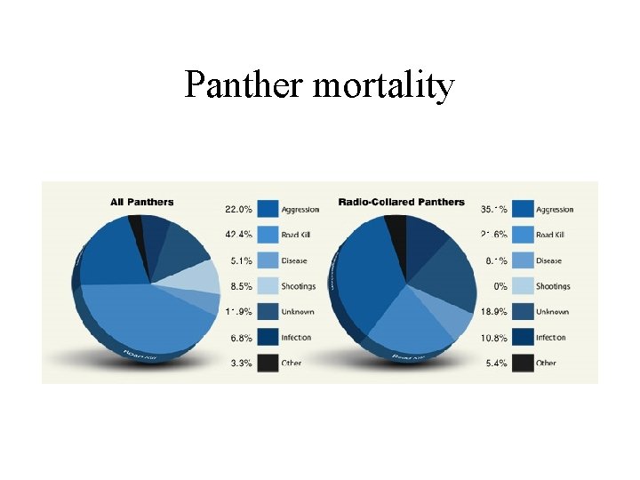 Panther mortality 