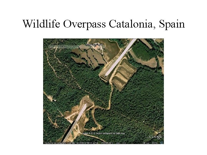 Wildlife Overpass Catalonia, Spain 