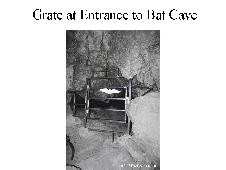 Grate at Entrance to Bat Cave 