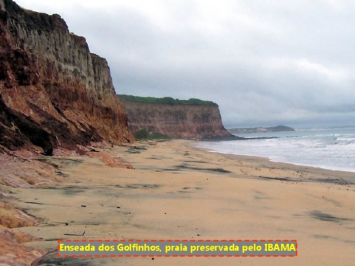 Enseada dos Golfinhos, praia preservada pelo IBAMA 